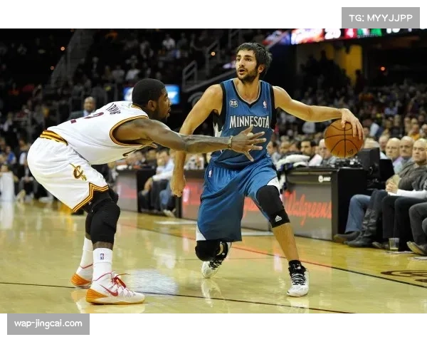 多森姆即插即用适应芬奇体系 森林狼替补深度得到补强 多森姆即插即用适应芬奇体系 森林狼替补深度得到补强